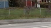 Den parallella cykelvägen i blandtrafik ingår i det övergripande cykelnätet. Åtgärden behöver detaljstuderas i en egen utredning.