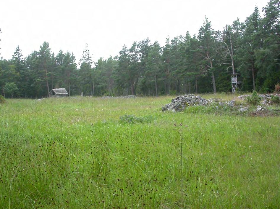 Biotopbilder från Örskär