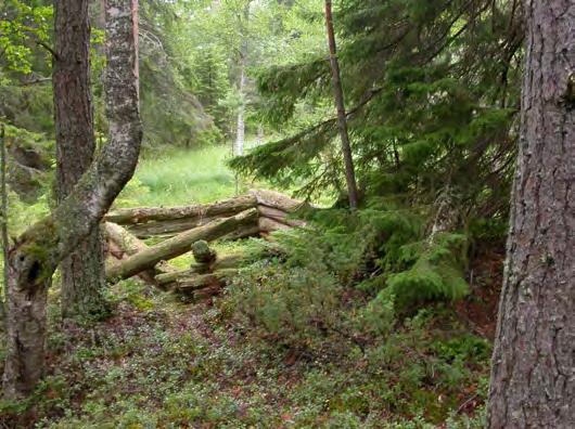 Ängslada vid Ramviksåkern.
