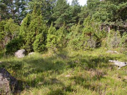 i reservatet. Bild 4.