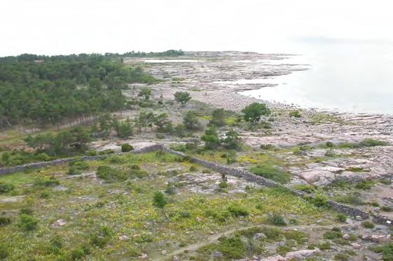 med bl.a. klipparvmal. Bild 5.