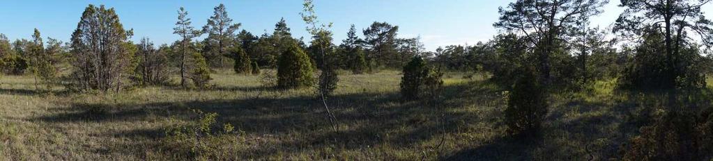 MATERIAL OCH METODER Studieområde Studien utfördes i området Bälsalvret på nordöstra Gotland, beläget i den sydöstligaste delen av ett stort Natura 2000 - område på 953 ha, vid namn Hejnum Kallgate