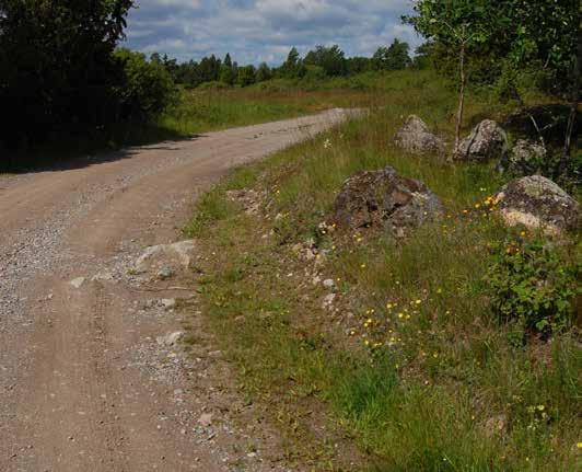 Hotas av färre blommor Berg- och vitgräsfjärilarna är inte hotade i Sverige men minskar i antal i områden där tillgången på nektarväxter är begränsad.