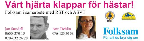Hästskötare, tränare, ägare, banpersonal, du eller jag kan alla vara värda att bli utnämnda till