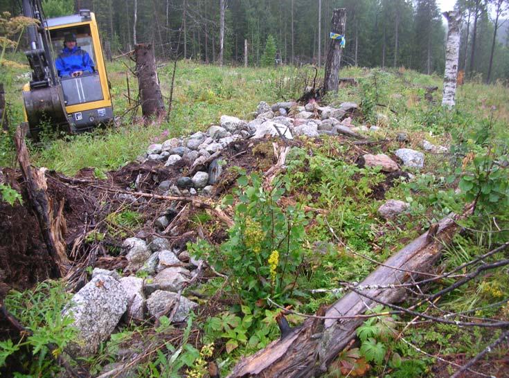 7. Utgrävning och datering av odlingsröse Röse nr 4 (jfr tabell, figur 1, samt spridningskarta, bilaga 2) som ligger i undersökningsområdets norra del valdes ut för undersökning eftersom dess skador