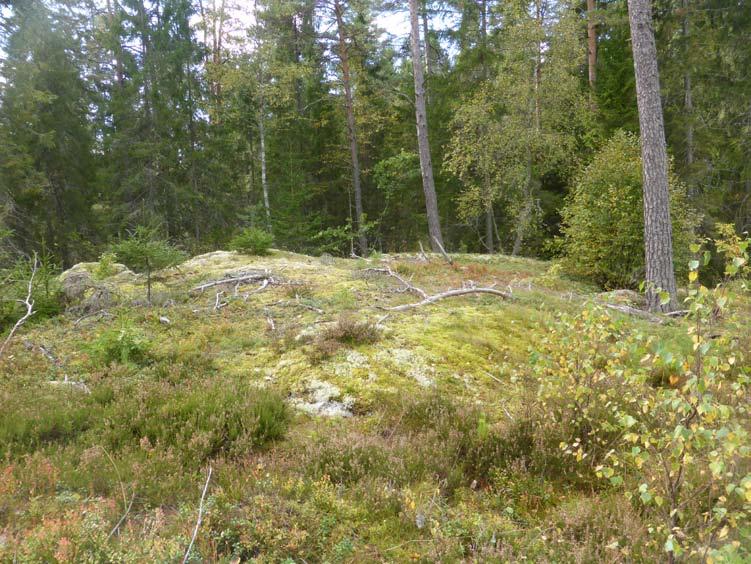 Senmesolitiska fyndplatser i Kårsta-Rickeby Arkeologisk utredning i Kårsta-Rickeby, Vallentuna kommun, Kårsta