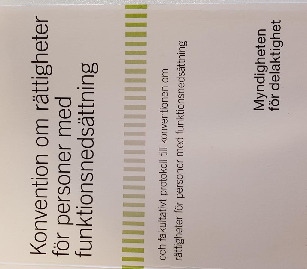 4 Dags att ta Funktionsrättskonventionen på allvar! Snart blir Barnkonventionen svensk lag. Nu står Funktionsrättskonventionen på tur.