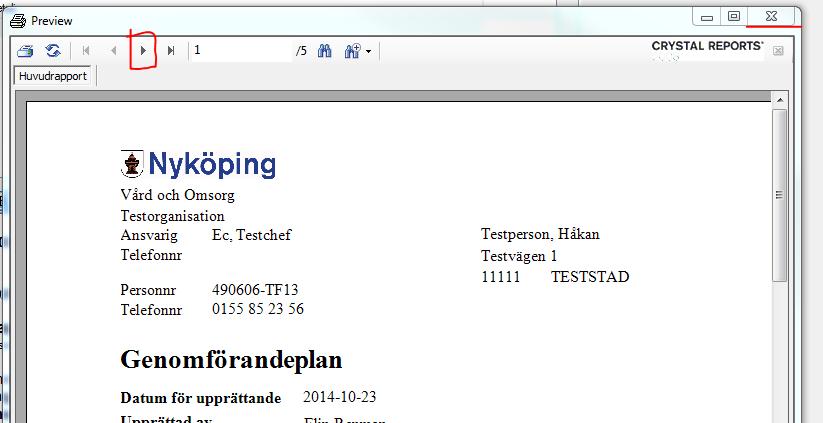 4. För att se hela genomförandeplanen när du granskar så bläddrar du mellan sidorna med nedanstående inringad knapp. 5.