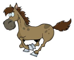 Vildhästen Equus ferus. Du är den skygga. Med din skarpa hörsel kan du upptäcka en fara mycket tidigt, och du springer fort. Alla problem gör bäst i att undvikas, det är du övertygad om.