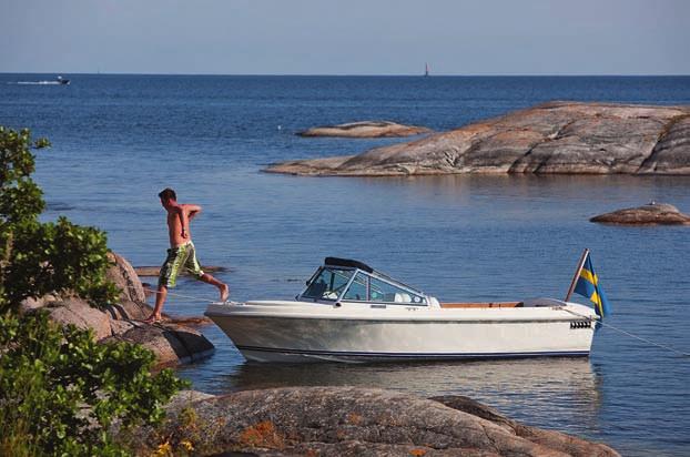 Vanligaste båtsorten är motorbåtar utan övernattningsmöjligheter med motor på minst 10 hk. De utgör 32 procent av båtbeståndet.