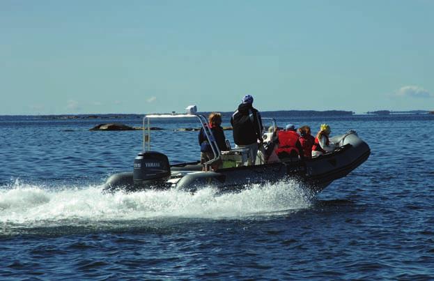 Båtliv omsätter miljarder Värdet av båtproduktionen i Sverige ligger på cirka 3 miljarder kronor årligen, båtexporten uppgick 2008 till 1,8 miljarder kronor och båtimporten till 1,9 miljarder kronor.