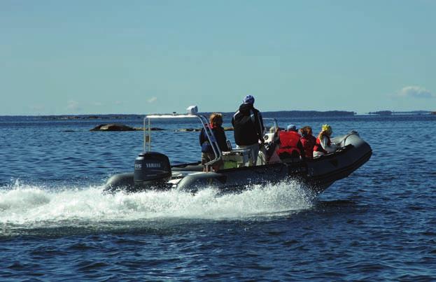 Båtliv omsätter miljarder Värdet av båtproduktionen i Sverige ligger på cirka 3 miljarder kronor årligen, båtexporten uppgick 2008 till 1,8 miljarder kronor och båtimporten till 1,9 miljarder kronor.