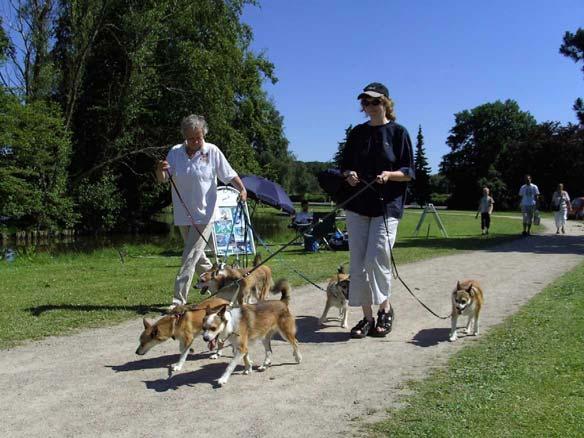 Hvor har Lundehunden været i år Lundehunden har i 2006 taget del i forskellige præsentationer: Andelslandsbyen i juni, Slagelse festuge i juli, Tivolis hundedag i september og Lejres historisk