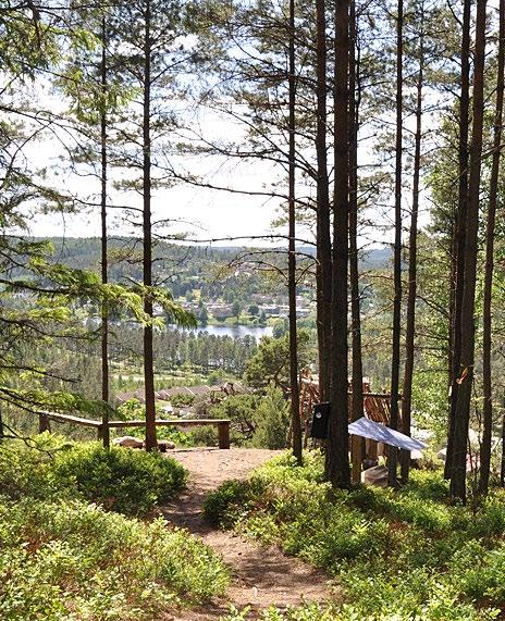 Det behövs inte alltid långa resor för att upptäcka nya spännande platser. I skog och mark runt omkring oss finns vackra naturmiljöer och fascinerande lämningar från förr.