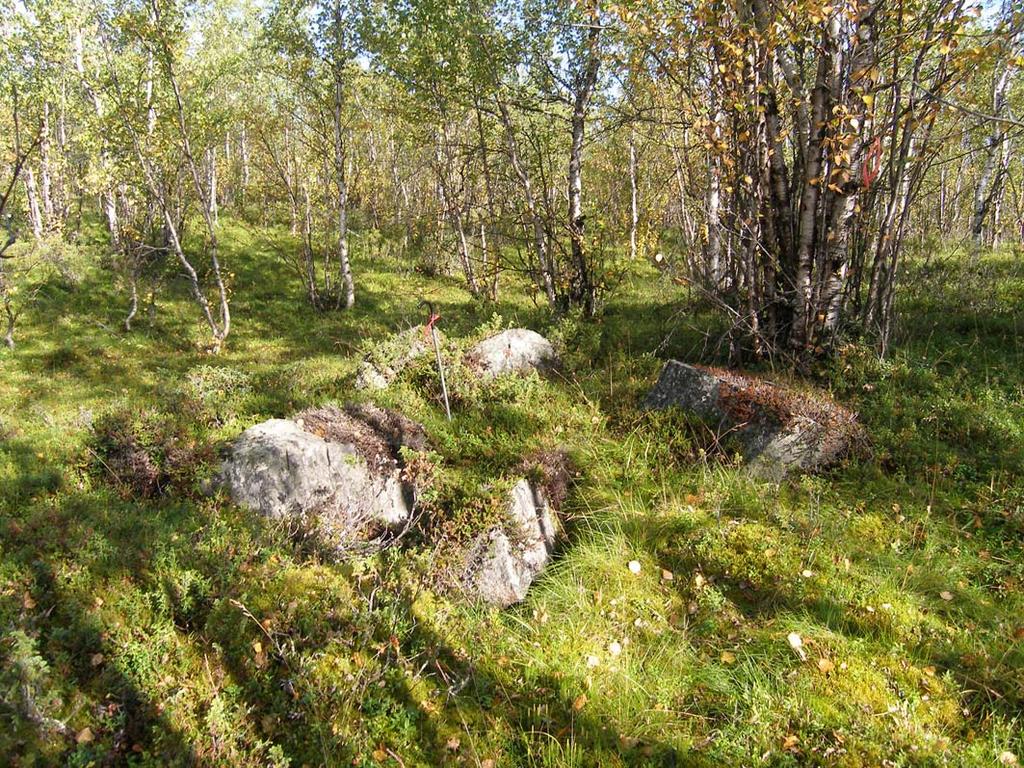 NORRBOTTENS MUSEUM Dnr 360-2005 Bilaga 3 Fotobilaga Fig. 2.