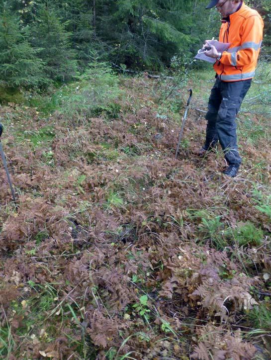 Fotobilaga Lämning nr 1: Röjningsröse,