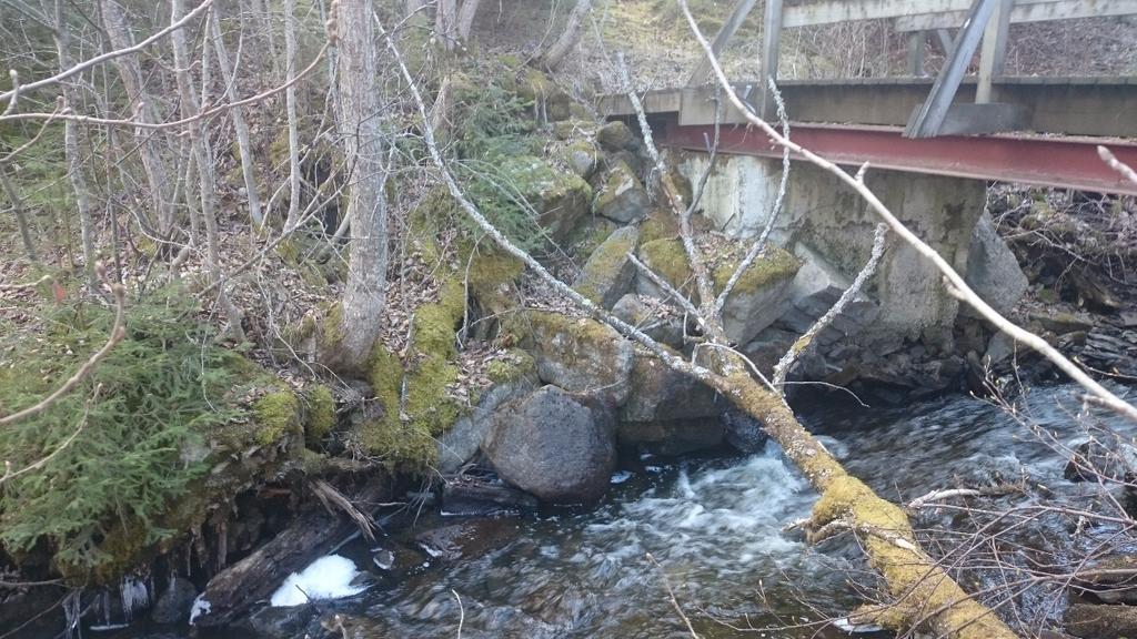 Bild 2 Dammvallen sedd från NV. Trärester syns i nedre vänstra hörnet. Dammvallen (-2) är 10 m l (NV-SÖ), intill 5 m br och intill 0,5 m h. Den består av sten och jord.
