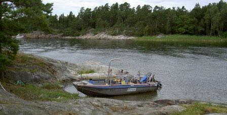 Söderviken 3 Lokalen består av en mycket smal och långgrund vik och hyser relativt lite vegetation längs med större delen av transekten.