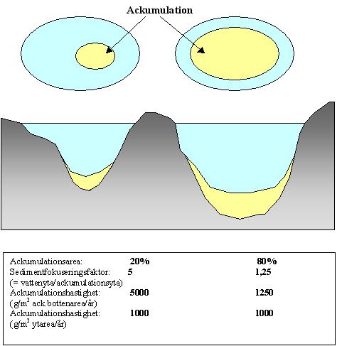 4.2 Torrsubstansdeposition Utifrån uppmätta halter torrsubstans (TS) i sedimenten i kombination med uppmätta varvtjocklekar och om nödvändigt med datering med 137 Cs kan depositionshastigheten för