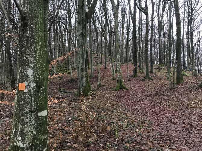 Allarp som ligger inom kommunens Stora