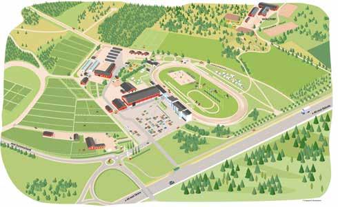 Axevalla vårt hästcentrum Just nu sker stora satsningar på Axevalla, där ett regionalt hästcentrum håller på att byggas upp.