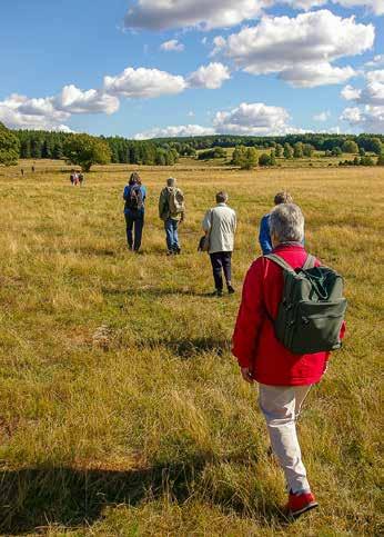 Att inte öppna nya bergtäkter inom området och att successivt minska det årliga uttaget av bergkross på Romeleåsen på grund av områdets betydelse för människors möjligheter till friluftsliv och