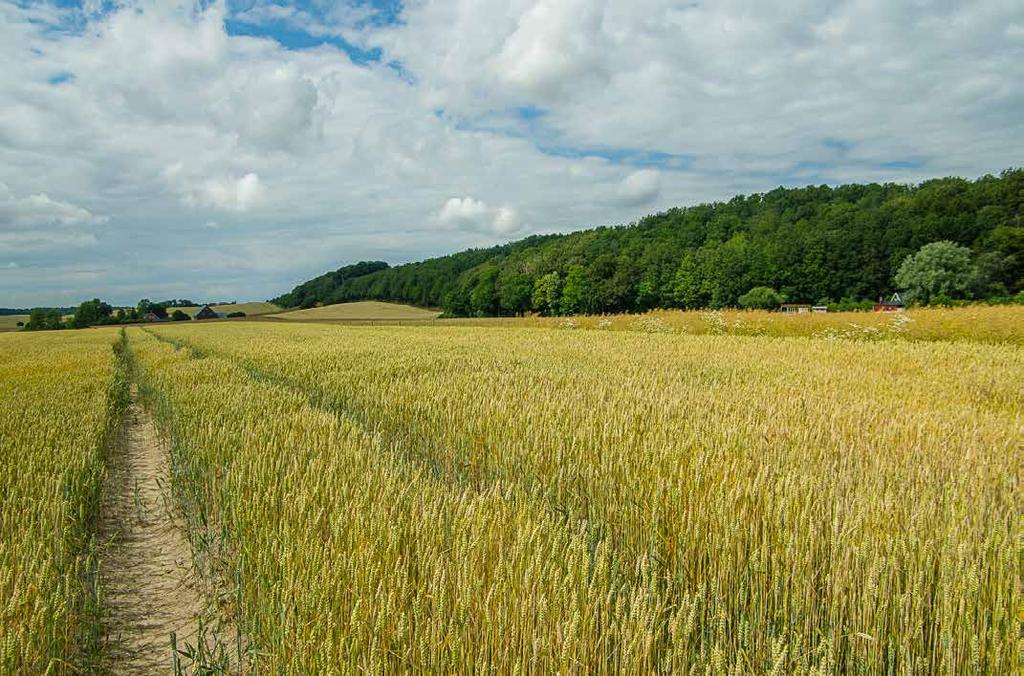 Backlandskapet vid Ulbergkroken på