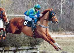 Hästen är ruggigt svårslagen på hemmaplan och är normalt numret större än sina konkurrenter i årets upplaga av EASYFIX Svenskt Champion Hurdle. V4-bank!