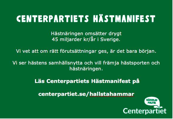 Det är vetenskapligt bevisat att människor mår bra av att umgås med hästar och den välgörande hästkraften kommer i alla tänkbara fyrbenta former.