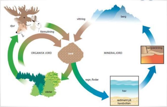 Närsalter Råvaror går i kretslopp är jordskorpans fasta beståndsdelar som även