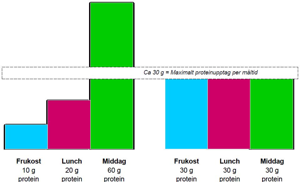 PROTEIN FÖRDELNING HÄLSOSAM AKTIV LIVSSTIL 25% Större effekt