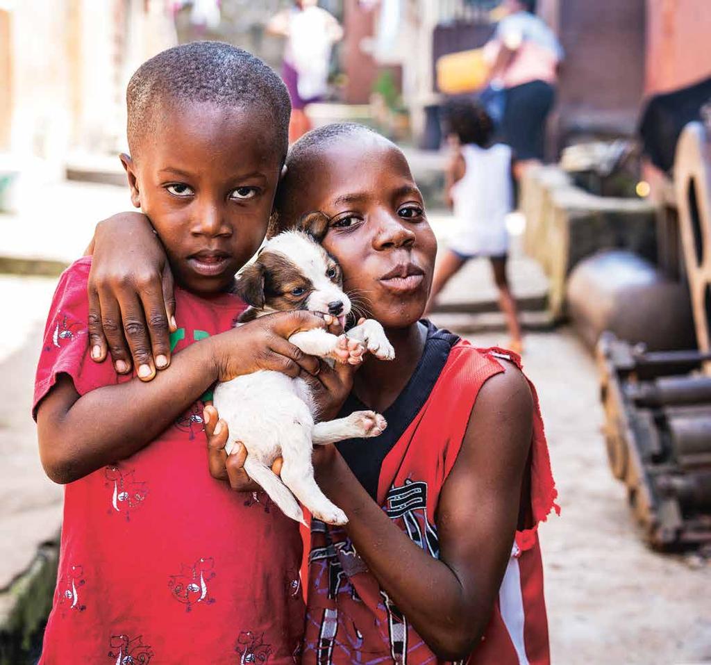 Innehåll 04 Förord 06 Vilda djur 10 Djur i samhällen 12 Lantbruksdjur 14 Katastrofdrabbade djur 16 Tack till våra supportrar 18 Ekonomi och organisation World Animal Protection Sverige Årsberättelse