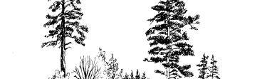 Villkor 3 Hygge från 90-talet. Men visst försvinner det arter på naturlig väg, invänder kanske någon. Det är sant.