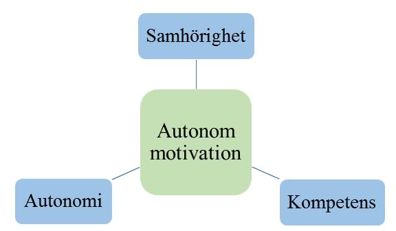 Figur 2. Grundläggande psykologiska behov, Self Determination Theory 3.