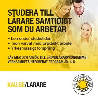 Samma annons kommer kommunerna ha möjlighet att använda sig av så som den ser ut eller genom att lägga till sin egen logotyp på annonsen.
