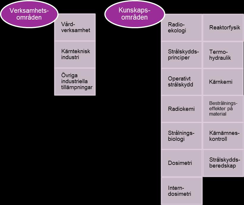 Sida 10 (61) Figur 1 En uppdelning av kompetensområden utifrån verksamhet respektive kunskapsområden. Kopplingar dem emellan är komplexa.