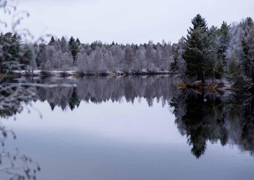 November 2018 Första vinterkänslan infinner