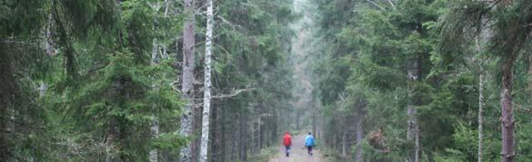 Kolupptag i typbestånd, Jönköpings län 40% gran, 40% tall, 20% löv 80 års omloppstid 200 års omloppstid