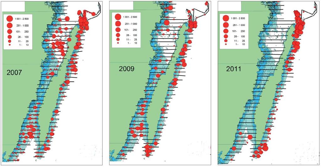 39 Figur14. Antalet inräknade alfåglar längs inventeringslinjer i Kalmarsund och utanför Öland under vintrarna 2007, 2009 och 2011. Svarta linjer visar flyginventeringslinjer.