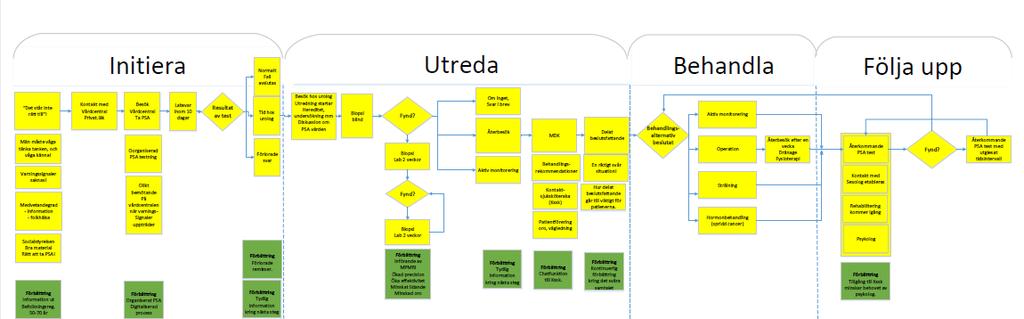 Patientens process vägleder