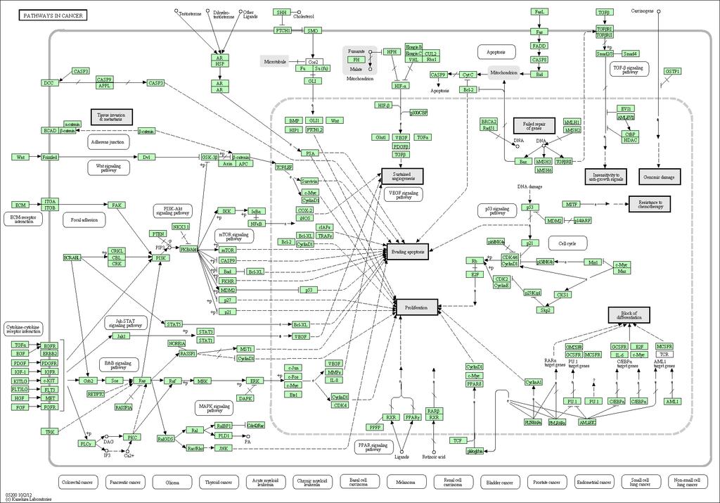 Processkarta