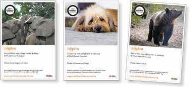 Returadress: World Animal Protection Box 225 36 104 22 Stockholm Avs: 21grams AB, Box 90166, 120 22 Stockholm SVERIGE B PORTO BETALT Låt julklappen bli en djurklapp Precis som tidigare år är det