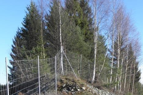 Norra sidan vägen 2) Barrskog, 25-40 år. Marktäcket är tunt och topografin bruten vilket leder till variation i markfuktighet.