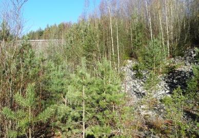 Kraftigt påverkat, inga naturvärden. Inget behov av fördjupad artinventering. Slutsats: Området som helhet är kuperat, har tunt jordtäcke och domineras av barrskog.