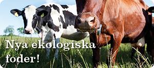 Vara den bästa affärspartnern för ekologiska lantbrukare Ny mottagning för