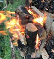 OMSLUTEN AV VÄRME Vi har haft den varmaste sommaren på många, många år. Våra badplatser har bjudit på vattentemperaturer där även den mest frusna av oss kunnat doppa sig.
