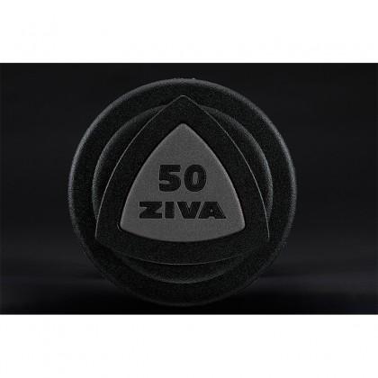 00 kr exkl moms 2 st nya Hantlar i Urethane 46 kg ZIVA