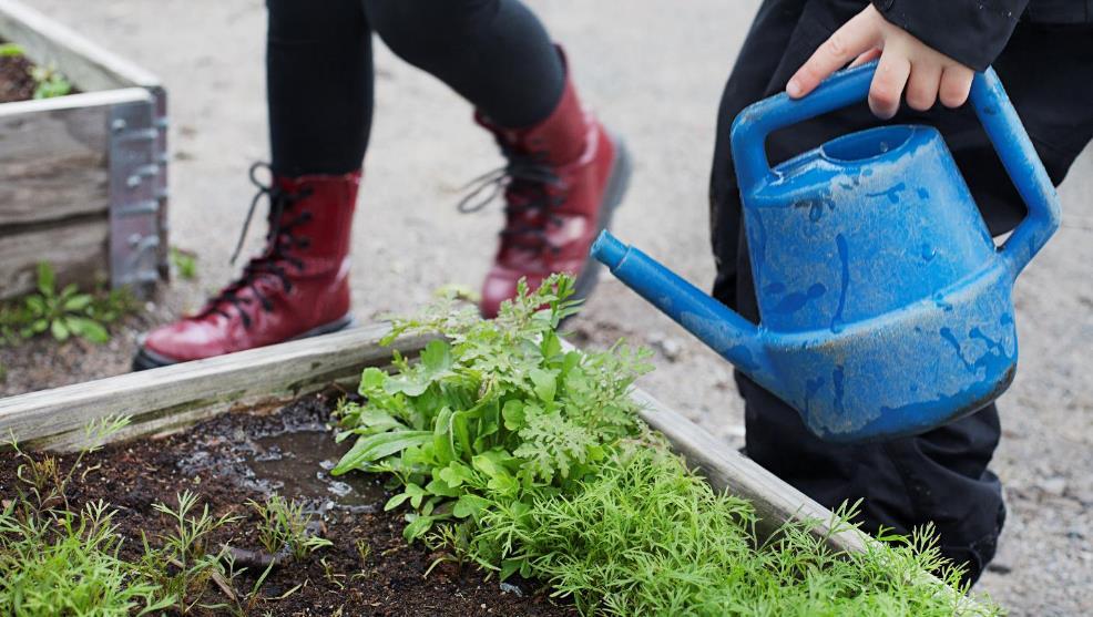 Fastighetskontoret Från odlingslåda till hektar