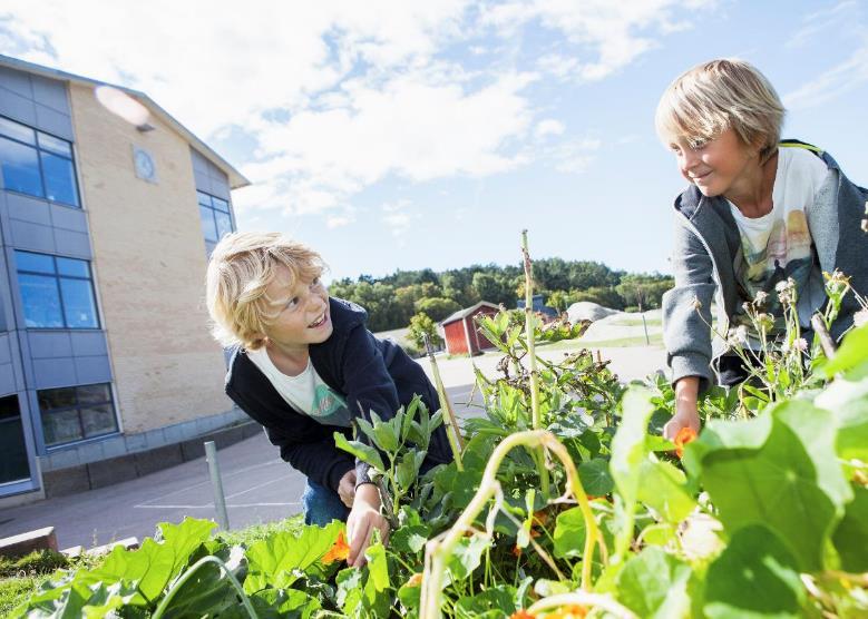 Miljöförvaltningen 1. Gå in på: menti.com 2. Ange koden: 65 34 0 3.