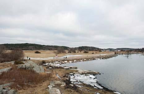 Hur hanterar vi markföroreningar Sjöbacken Avslutade